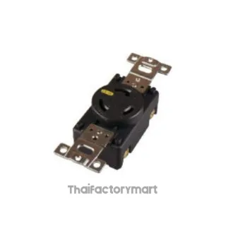 2-Pole 3-Wire Grounding 20A 125V (NEMA L5-20) Receptacle