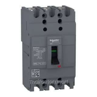 circuit breaker, EasyPact EZC100B, TMD, 25A, 3 poles 3d