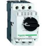 GV2L04, Motor circuit breaker,TeSys Deca frame 2,3P,0.63A,magnetic,rotary handle,screw clamp terminals photo 2
