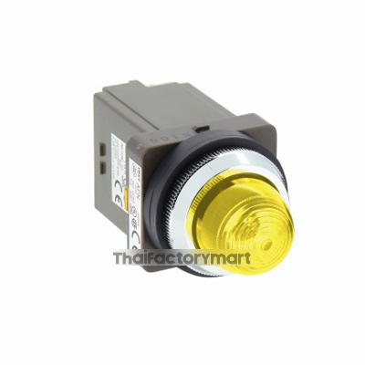 APN116DNY