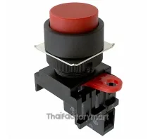 SWITCH PUSH SPST-NO 10A 110V