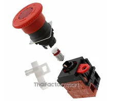 SWITCH PUSH DPST 10A 110V