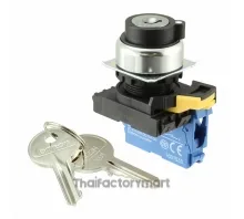 SWITCH KEYLCK 2POS DPST 10A 120V