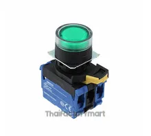 SWITCH PUSH DPST-NO 10A 120V