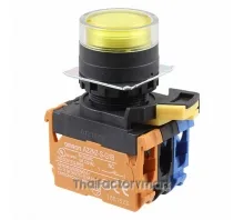 SWITCH PUSH DPST-NO/NC 10A 120V