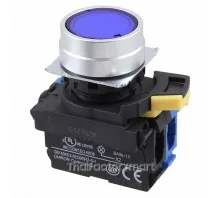 SWITCH PUSH DPST-NO 10A 120V