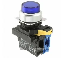 SWITCH PUSH DPST-NO 10A 120V