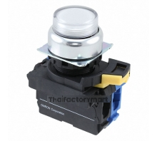 A22NL-RPM-TWA-G100-WB