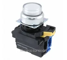 SWITCH PUSH SPST-NO 10A 120V