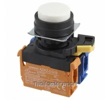 SWITCH PUSH DPST-NO/NC 10A 120V