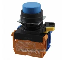 SWITCH PUSH DPST-NO/NC 10A 120V
