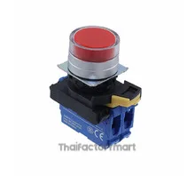 SWITCH PUSH DPST-NO 10A 120V