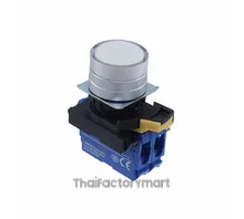 SWITCH PUSH DPST-NO 10A 120V