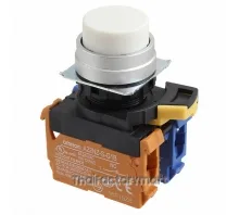 SWITCH PUSH DPST-NO/NC 10A 120V