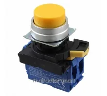SWITCH PUSH DPST-NO 10A 120V
