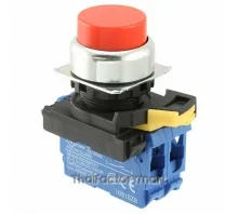 SWITCH PUSH DPST-NO 10A 120V