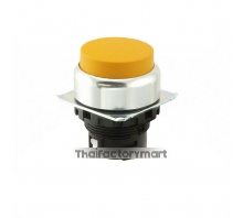A22NZ-RPM-TYA