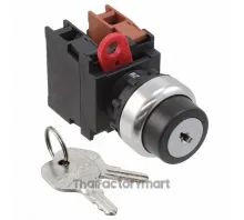 SWITCH KEYLCK 2POS DPST 10A 120V