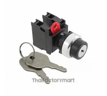 SWITCH KEYLCK 2POS DPST 10A 120V