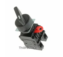 SWITCH SELECT 2POS DPST-NO 10A