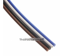 SCA1-4F10