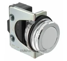 SWITCH PUSHBUTTON SPDT 15A 125V