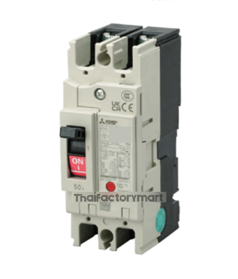 NV63-CV 2P 40A 100-240V 30MA